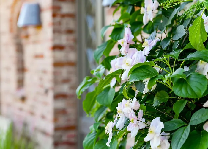 Litzkow 13908 Morsum (Sylt)